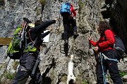 MONTE MAGNODENO e CRESTE DELLA GIUMENTA ad anello da Erve il 25 aprile 2016 - FOTOGALLERY